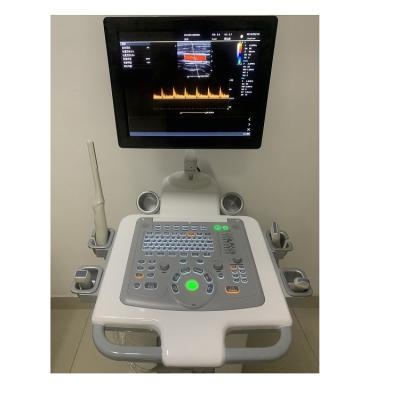 Cina China Cart Digital Color Doppler Ultrasound Medical Ultrasound Machine Ultrasound Hospital Outside in vendita