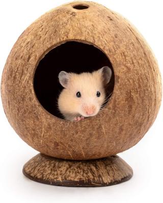 China Stocked Coconut Hut Hamster House Bed For Gerbils Mouse Cage Small Animal Habitat Decor for sale