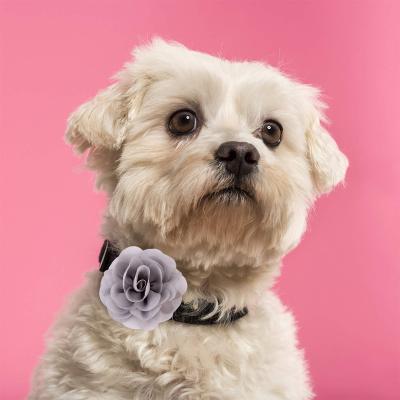 China Personalized Pet Headdress Flower Collar Dog Product Innovations Pet Accessories Cats for sale