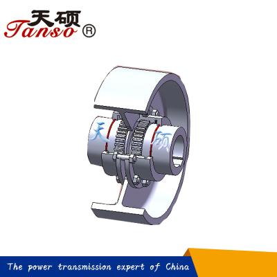 China WGZ Steel Gear Coupling With Brake Wheel For General Machinery for sale