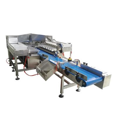 China Linear Scale Weigher Linear Scale Automatic Weighing Fresh Frozen Whole Fish Fillet Fish Fillet Packaging Machine for sale