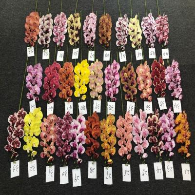 China Shooting High Quality Wholesale Movie Flowers Porcelain 3D Artificial Flower Plant Phalaenopsis Stem For Home Wedding Decoration for sale