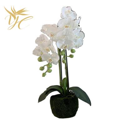 China Real Touch Tissue Butterfly High Quality Silk Potted Orchid Plants Artificial Flowers Home Dining Room Decoration for sale