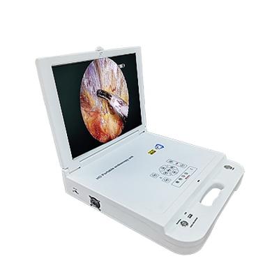 China Portable Surgery Endoscopy Camera 4k Hysteroscope Unit All In One Machine Set for sale