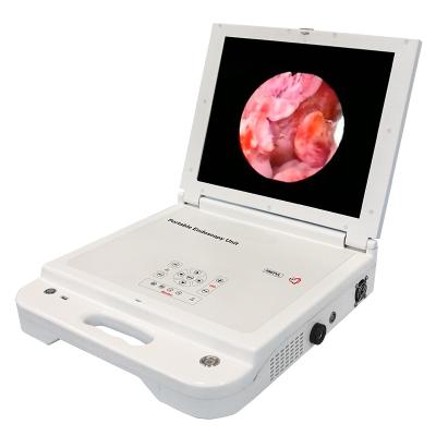 China Portable Medical Endoscope ENT Camera Integrated With Led Light And Monitor Disc For Ear Vet for sale