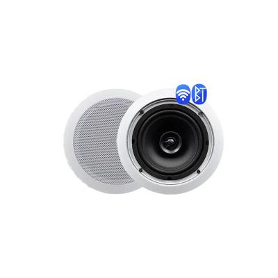 China Mini One primary horn and one secondary horn Digital Class-D WiFi Wall Mount Smart Audio Music Player Ceiling Speakers for sale