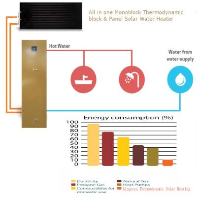 China Factory price THERMO-DYNAMIC domestic or household TYNRB-35 SOLAR POWER DHW piscina calentador de agua DHW solar heat pump water heater UNDERFLOOR for sale