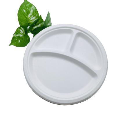 China waterproof & LOGO Printing Take Away Customized Oil-proof Disposable 10 Inch 3 Compartments Sugarcane Pulp Bagasse Paper Dishes and Dishes for sale