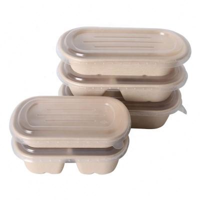 China Biodegradable Biodegradable Disposable Compostable Box Pulp Bagasse Food Packaging Container for sale