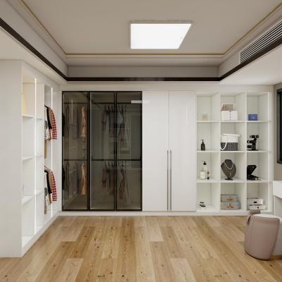 China Factory direct custom hot selling modern walk-in wardrobes for sale