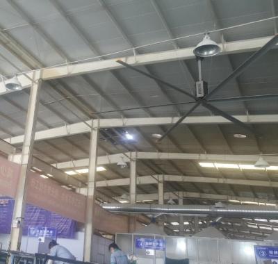 China 6.1M 20 pés grandes ventiladores comerciais de teto para academias à venda