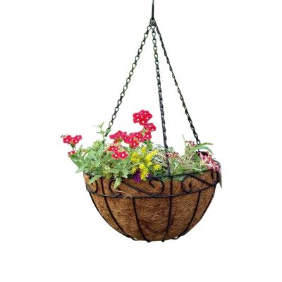 China Hot Sale Metal Scroall Wall Planter for sale