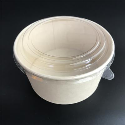 China China Biodegradable Manufacturer Custom Craft Disposable Paper Bowls for Fries Foods /Salad /Hot Soup Bowl for sale