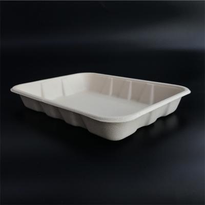 China Recyclable Natural Sugarcane Bagasse Pulp Sushi Tray Sushi Container With Lid for sale