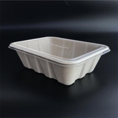 China PLA Sugar Cane Bagasse Recyclable Biodegradable Food Container for sale