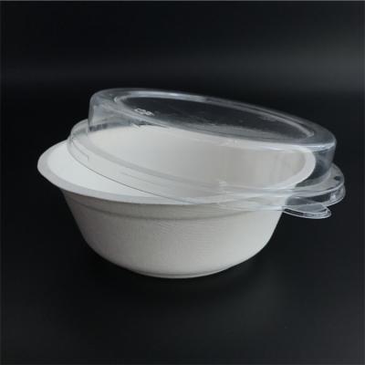 China Recyclable 100% Biodegradable Sugar Cane Bagasse Food Grade Disposable Packaging Bowls For Noodle for sale