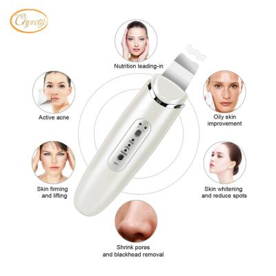 China New Style Skin DEEP CLEANING Ultrasonic & Ionic Remover (KD-8022) for sale