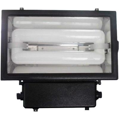 China Warehouse High Lumen 200w Induction Lamp Replace 1000 Watt Flood Light Halogen for sale