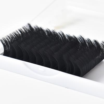 China Private Label Natural Long Volume Lash Extensions Wholesale for sale