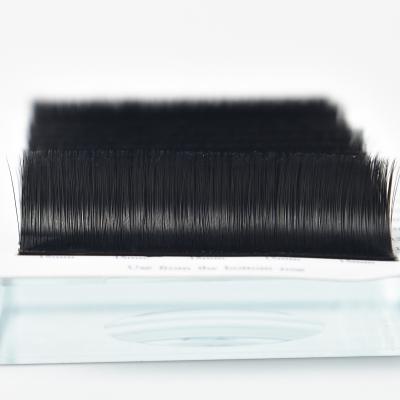 China Private Label Long Natural Mink Eyelash Extension Provides Different Eyelash Extensions for sale