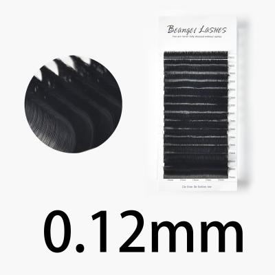 China Long Eyelash Extensions Natural Products 0.02 0.07 Volume Eyelash Extension Russian Private Labels for sale