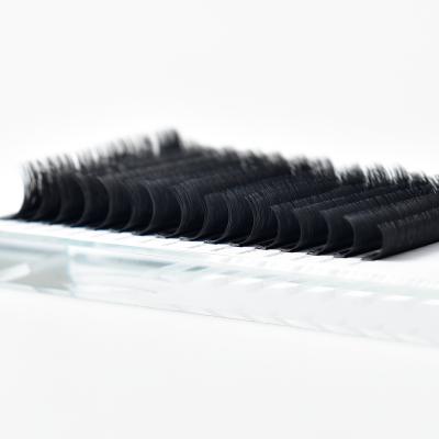 China Vendor Natural Soft Easy Mega Volume Eyelash Fan Faux Mink Eyelashes Extension Fast Wick Extensions for sale