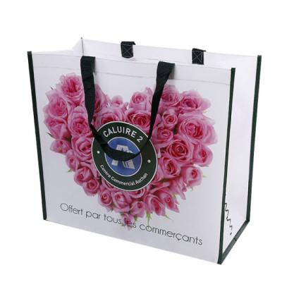 China Handled Laminated Non Woven Shopping Bag For Promotional for sale