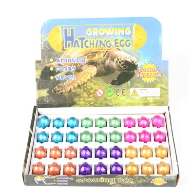 China BX210 Expandable Stunning Grow To Increase Water Hatching Egg Turtle Eggs For Sale Expander Cracks for sale