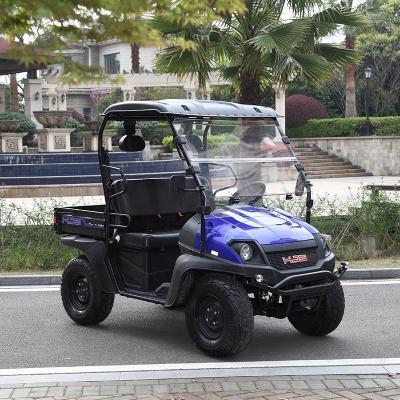 China china made street legal electric utv atv for sale 30% for sale