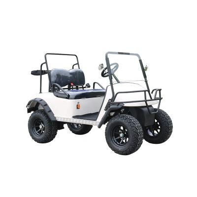 China 2 Passenger 23*10.5-12 Electric Buggy Golf Cart for sale