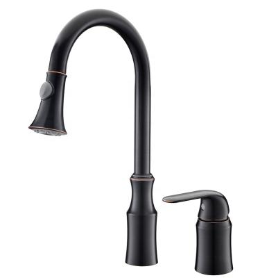 China Modern Brass Black GLOBE Metered Faucets Pull Out Kitchen Sink Faucet for sale