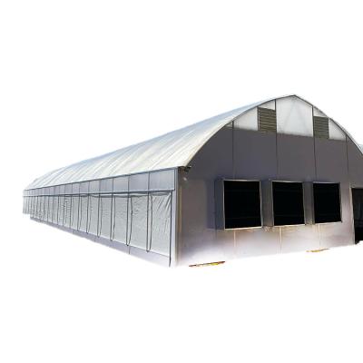 China Manufacturers export practical and customizable plastic air cultivation hoop greenhouse single shed for sale