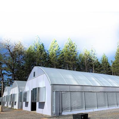 China Manufacturers export practical and customizable plastic shading cultivation hoop greenhouse single shed for sale