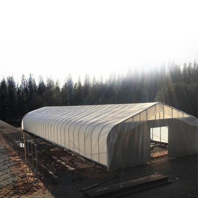 China Customized multi-span membrane tunnel sun shed greenhouse hydroponic greenhouse for sale