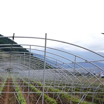 China Even light and heat four seasons planting metal frame hydroponic system greenhouse for sale