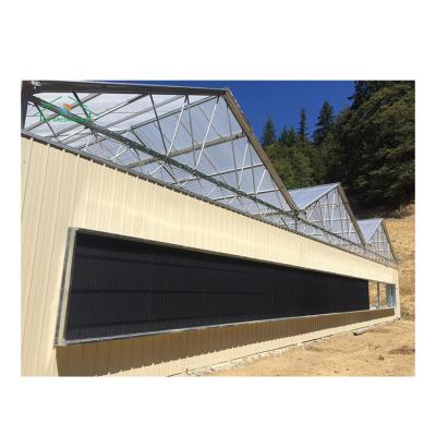 China Specializing in manufacturing cheap commercial hydroponic plastic film greenhouse for sale