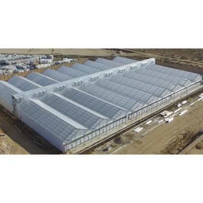 China Good quality and easy to install agricultural greenhouse plastic for sale