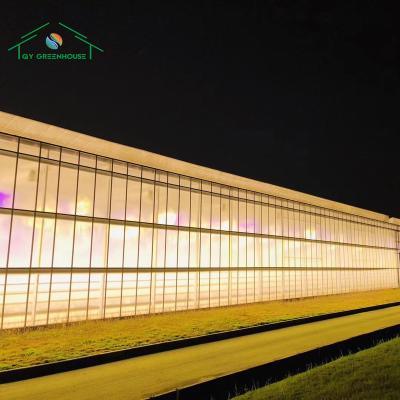 China High Quality Multi-span Glass Greenhouse Commercial Greenhouse Chinese green house for flowering for sale