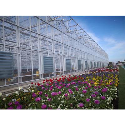 China Factory direct sale aluminum frame roof glass garden modern sunlight greenhouse for sale