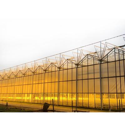 China Direct selling aluminum frame roof glass garden modern daylight hydroponic greenhouse for sale