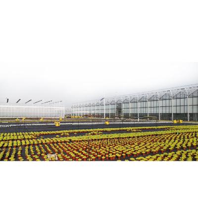 China China direct selling winter agricultural aluminum frame glass modern solar greenhouse accessories for sale