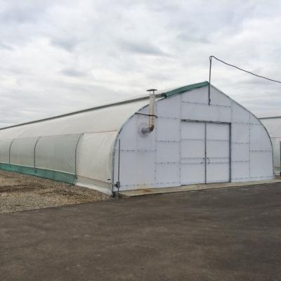 China single span greenhouse plastic film green house tomato tunnel greenhouse for sale