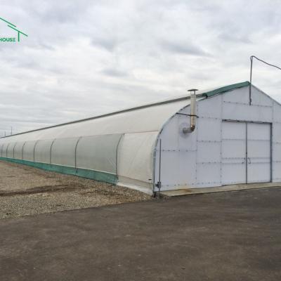 China High Quality Tunnel greenhouse plastic vegetable tunnel greenhouse made in china for sale