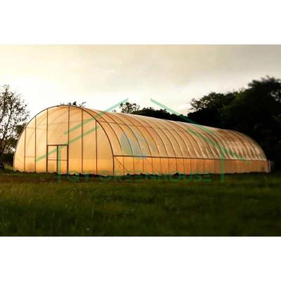 China Factory Price Long Life PC Sheet Polycarbonate Tunnel Greenhouse Agricultural Greenhouse for Commercial for sale