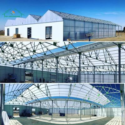 China Commercial Automated Multi-span Agriculture Blackout Greenhouse in USA for sale