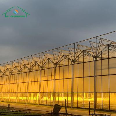 China Multi-span Glass Greenhouse Commercial Greenhouse Chinese green house tomatoes and rose growing for sale