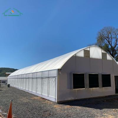 China Hot Sale Commercial Automated agriculture Poly Tunnel Light Deprivation Greenhouse Film covering for sale