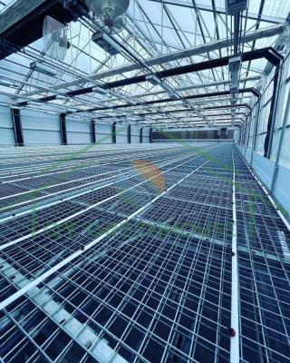 China Light Deprivation Greenhouse Commercial Automated Multi-span Agriculture Blackout Greenhouse in USA for sale