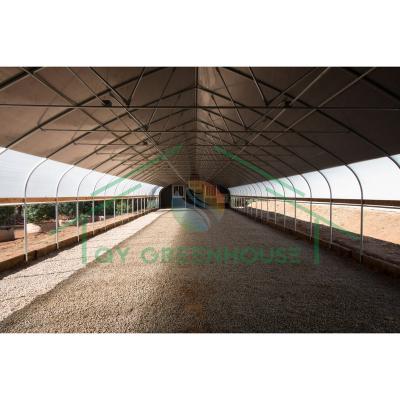 China Direct Factory Sale Light Deprivation Greenhouse for Mushroom for sale