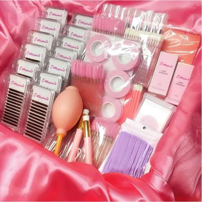 China Hot Selling Natural Soft Eyelash Extension Training Kits For Lash Tools Kit Set Professional Eyelash Extension Starter for sale